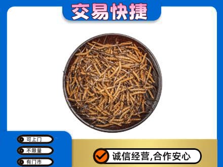 阿坝州金川高价回收散虫草